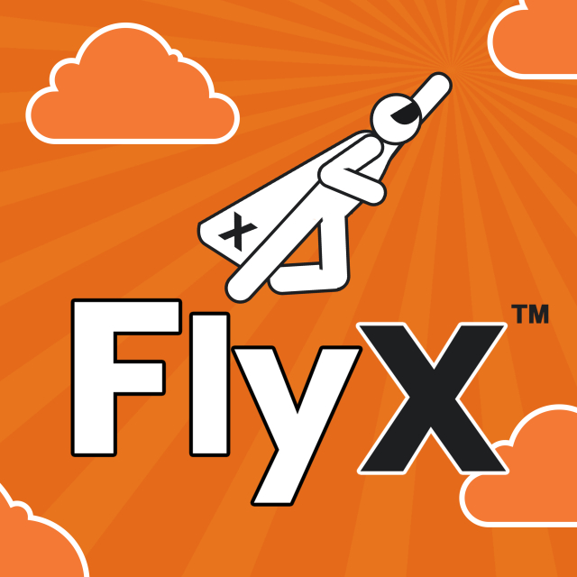 FlyX